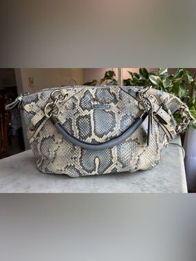Coach Python-Print Leather Shoulder Bag in Blue, Gray and Cream